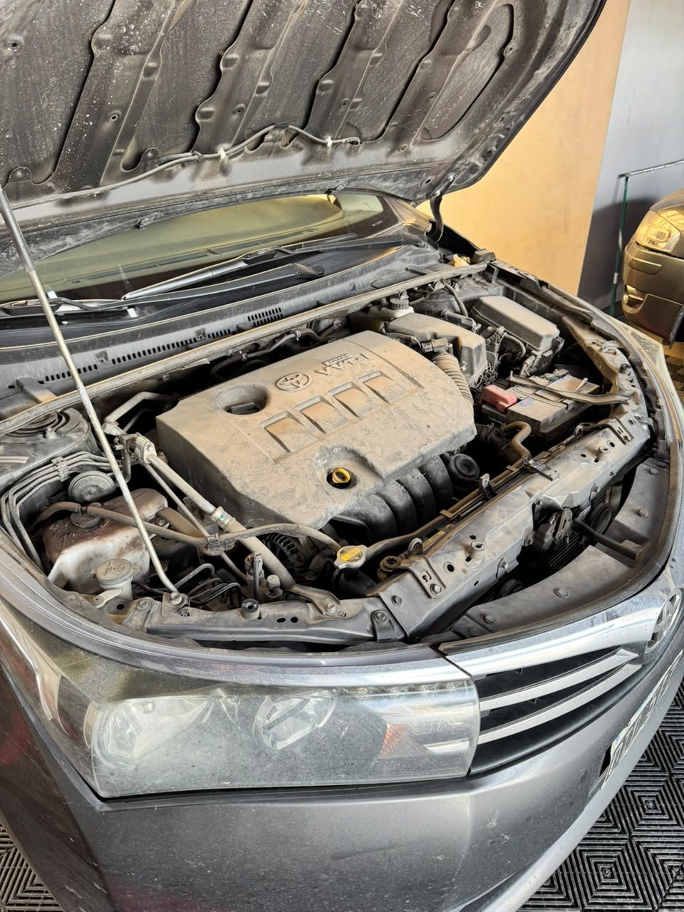Limpieza de motor — antes
